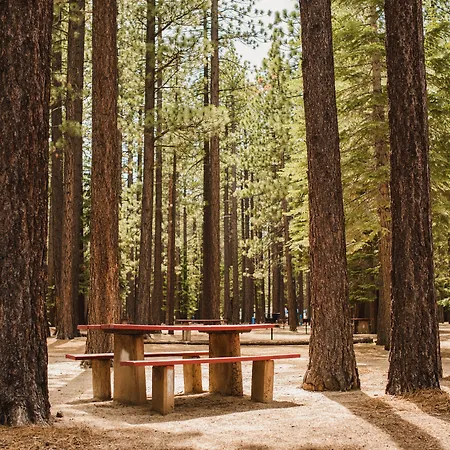 Tahoe Valley Campground-2